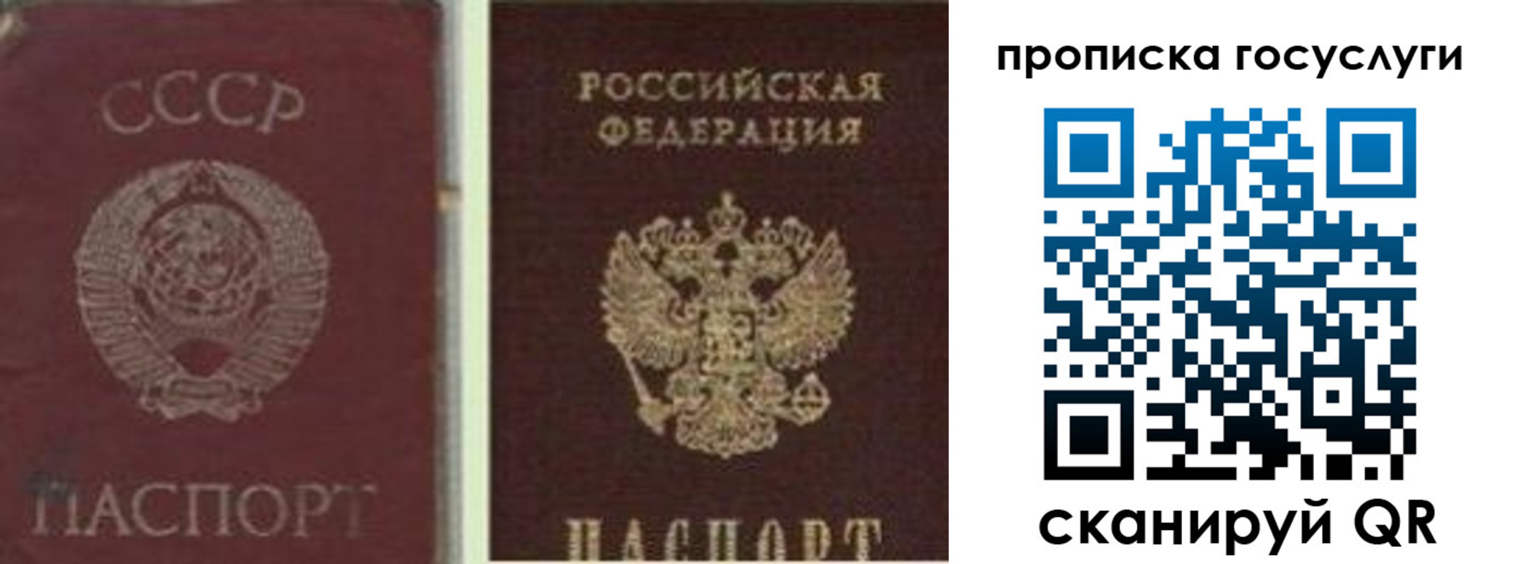 временная регистрация 2025 в Ершове